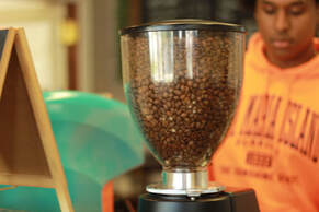 Spotted Cow Coffeehouse Sumatra Gayo Coffee Beans from Hemisphere Coffee